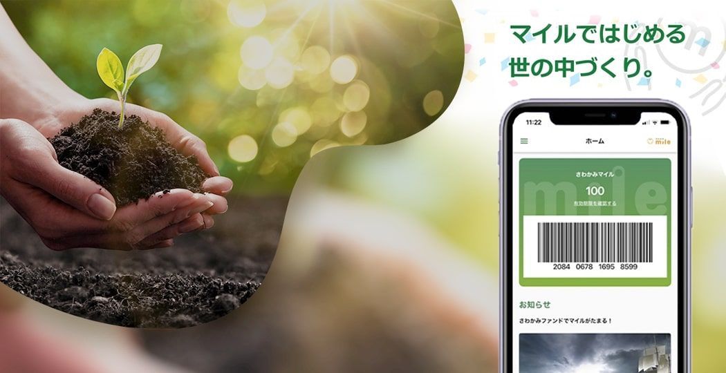 cover image for さわかみmile induction case study